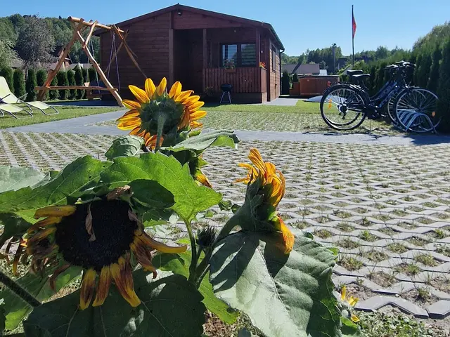 Domek Na Roztoczu latem — słoneczniki przy podjeździe i rowery pod ścianą
