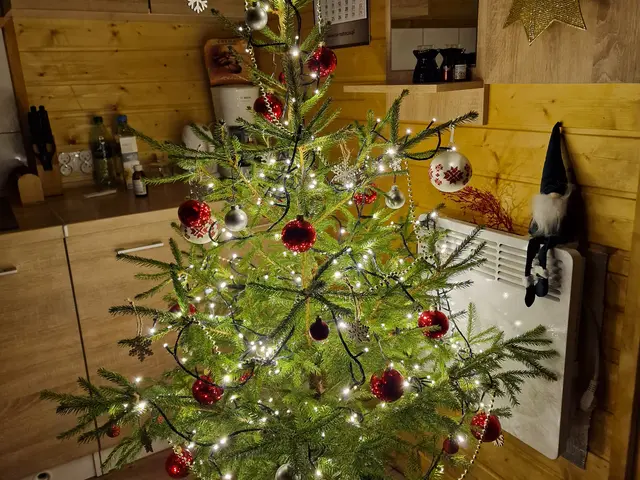 Ubrana choinka w drewnianym wnętrzu domku w okresie świątecznym