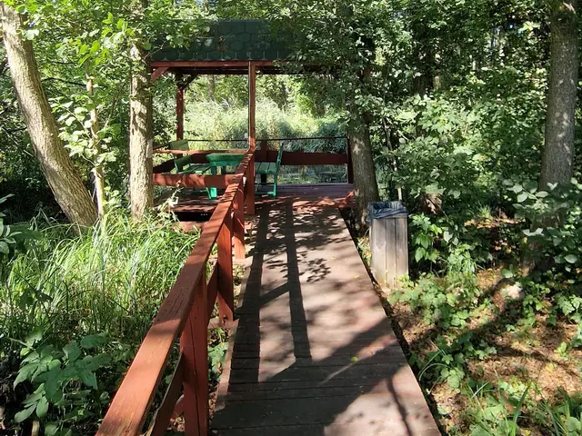 Drewniana wiata nad stawem, otoczona zielenią, kilka kroków od domku