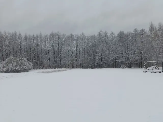 Plac zabaw i działka pod śniegiem podczas zimy