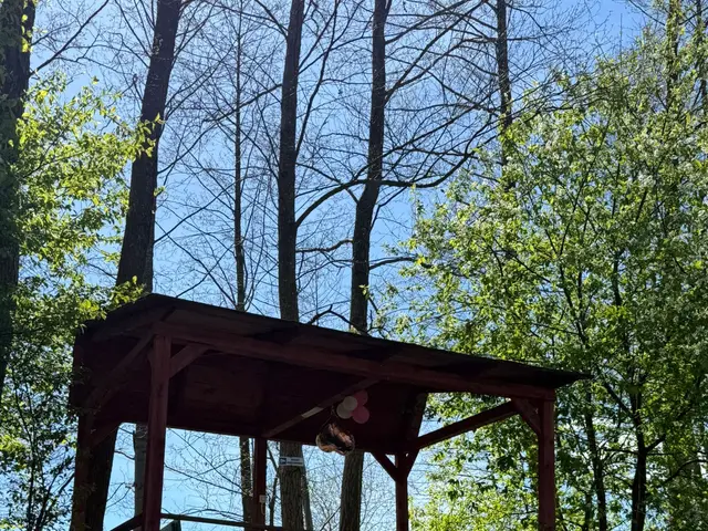 Drewniana wiata nad wodą, otoczona wiosenną zielenią
